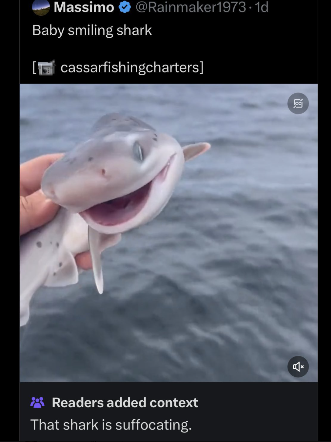 screenshot - Massimo Baby smiling shark cassarfishingcharters Readers added context That shark is suffocating.